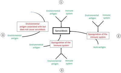 Environmental Risk Factors for Sarcoidosis